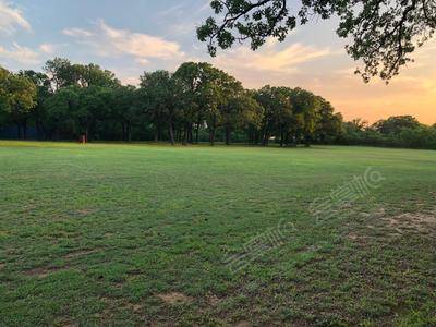 Ultimate Rustic Outdoor Event Space Destination | 10-Acres Hidden Gem | Fort WorthUltimate Rustic Outdoor Event Space Destination | 10-Acres Hidden Gem | Fort Worth基础图库5